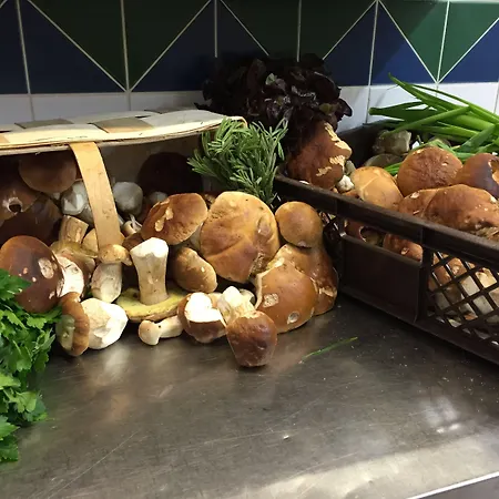 Altstadt Szálloda Potsdam