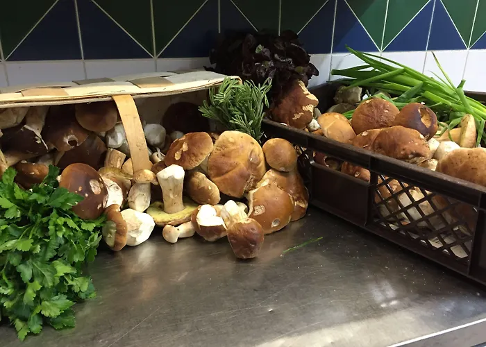 Altstadt Hotel Potsdam